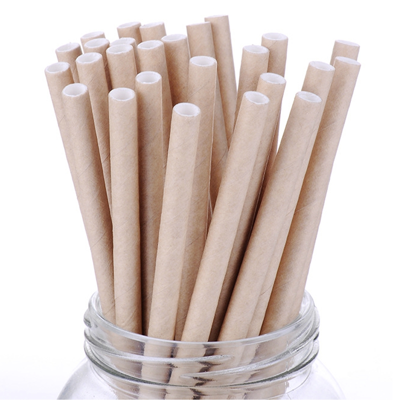 Plain Brown Paper Straw