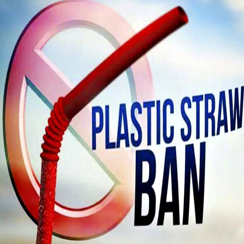 What to replace after Plastic Straw is forbidden?